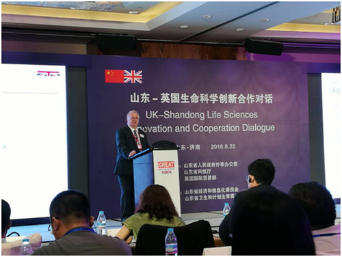 PA��Ѷ(�й���)����-PlayAce