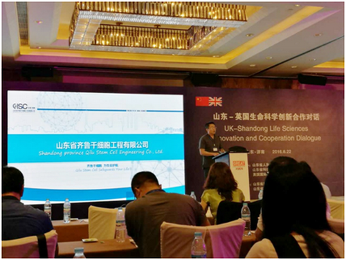 PA��Ѷ(�й���)����-PlayAce