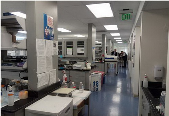 PA��Ѷ(�й���)����-PlayAce