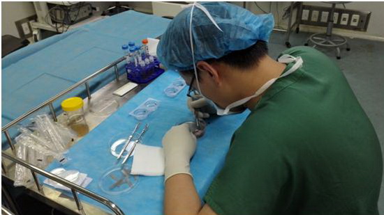 PA��Ѷ(�й���)����-PlayAce