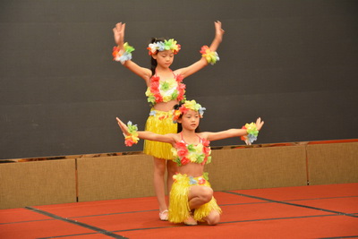 PA��Ѷ(�й���)����-PlayAce