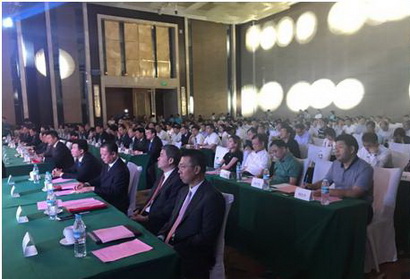 PAÊÓѶ(ÖйúÇø)¹ÙÍø-PlayAce