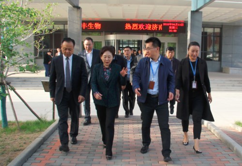 PA��Ѷ(�й���)����-PlayAce