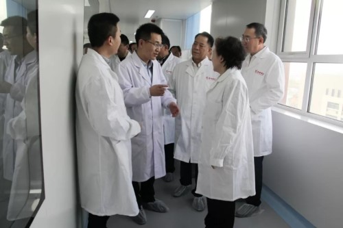 PA��Ѷ(�й���)����-PlayAce