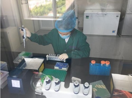 PA��Ѷ(�й���)����-PlayAce