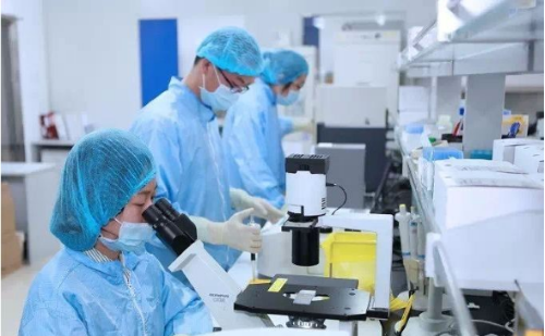 PA��Ѷ(�й���)����-PlayAce