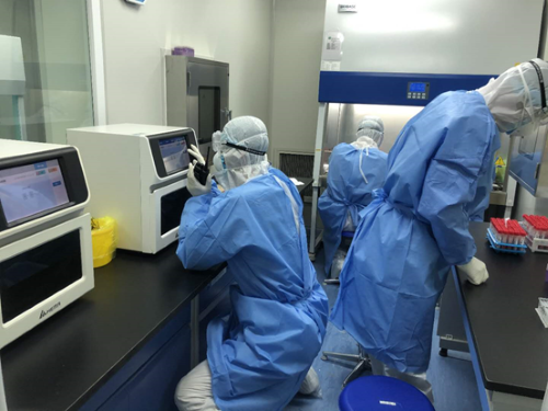 PA��Ѷ(�й���)����-PlayAce