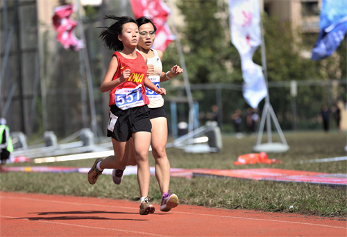 PAÊÓѶ(ÖйúÇø)¹ÙÍø-PlayAce