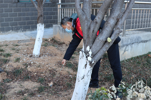 PA��Ѷ(�й���)����-PlayAce