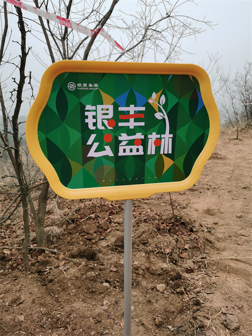 PA��Ѷ(�й���)����-PlayAce