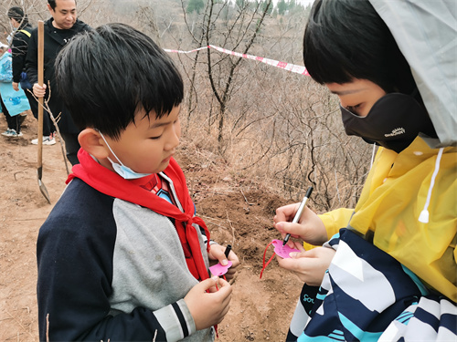 PA��Ѷ(�й���)����-PlayAce