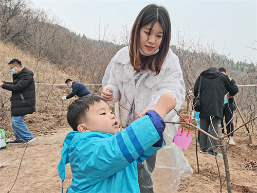 PA��Ѷ(�й���)����-PlayAce