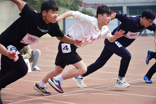 PA��Ѷ(�й���)����-PlayAce