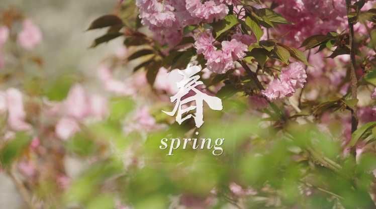 PA��Ѷ(�й���)����-PlayAce