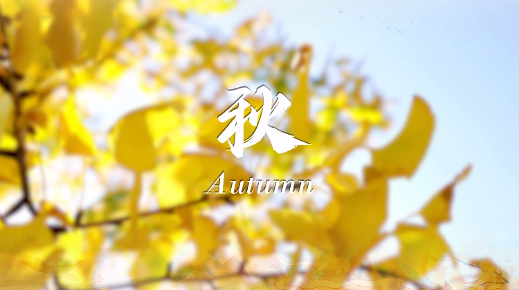 PA��Ѷ(�й���)����-PlayAce