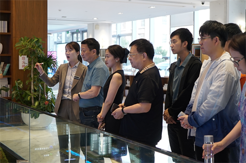 1750054051434803.png ͼƬ6.png